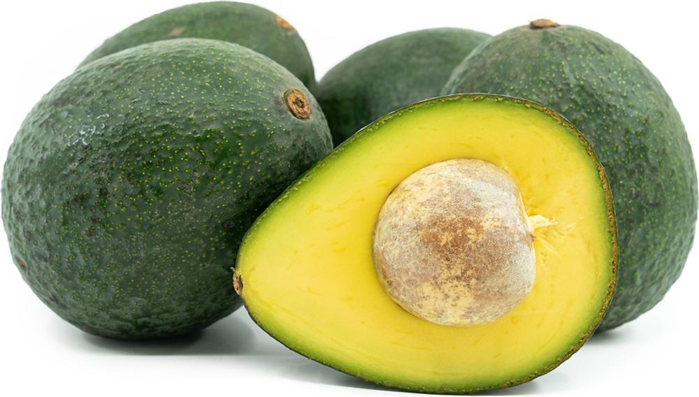 Persea Americana 'Reed' | Avocado - Leafland Limited | Best Price | Buy ...