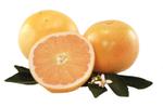 citrus x paradisi golden special