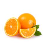 citrus x sinensis valencia