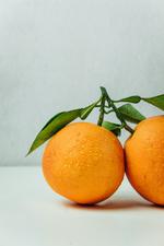 citrus x sinensis valencia